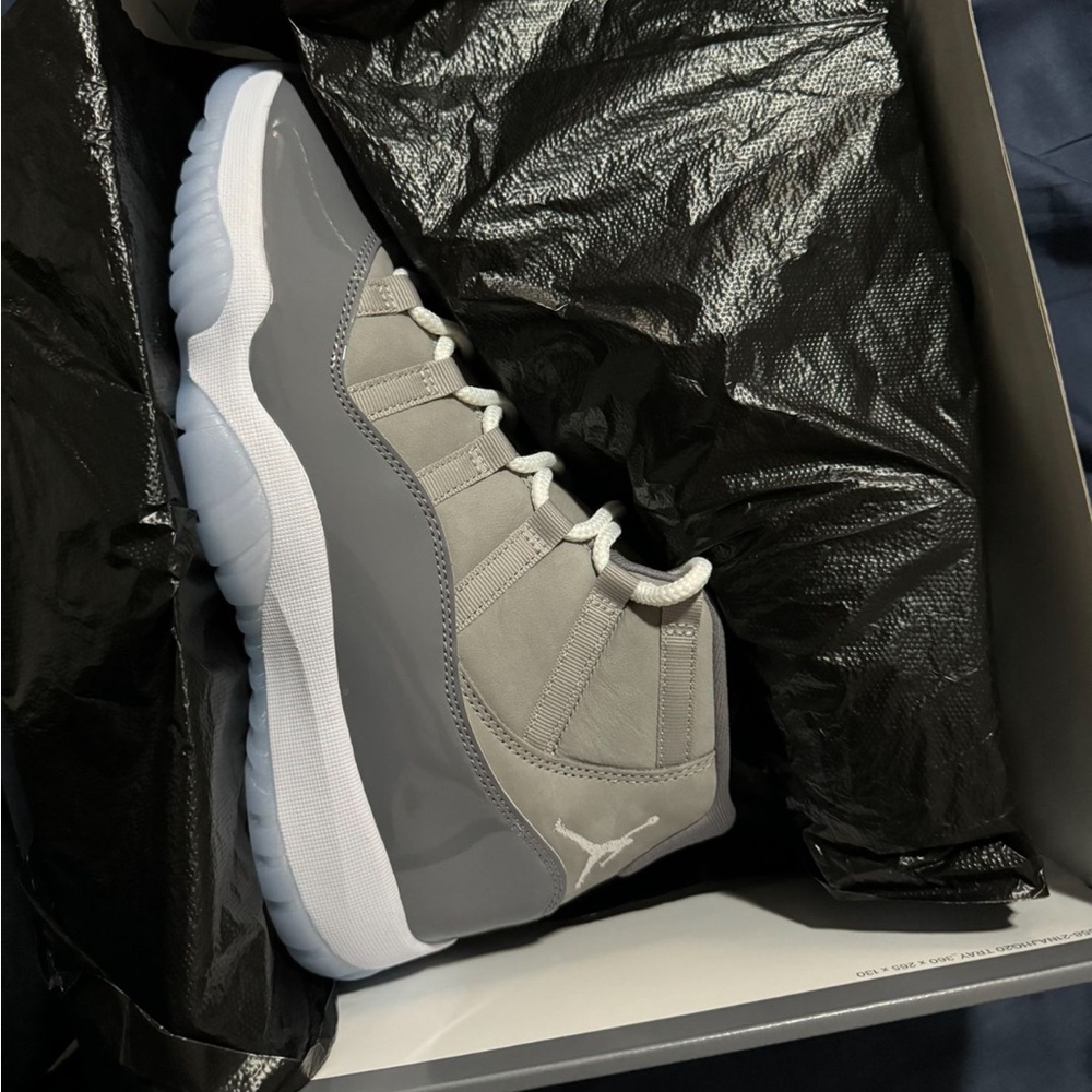 Air Jordan 11 Cool Grey